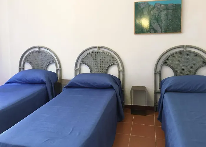 Trilo David アパート *