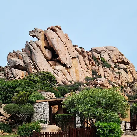 Trilo David Lejlighed *