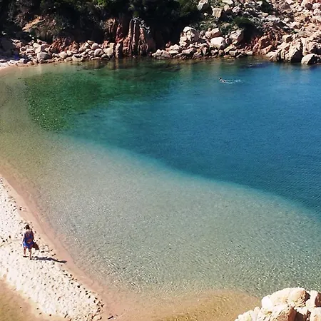 Trilo David Lejlighed